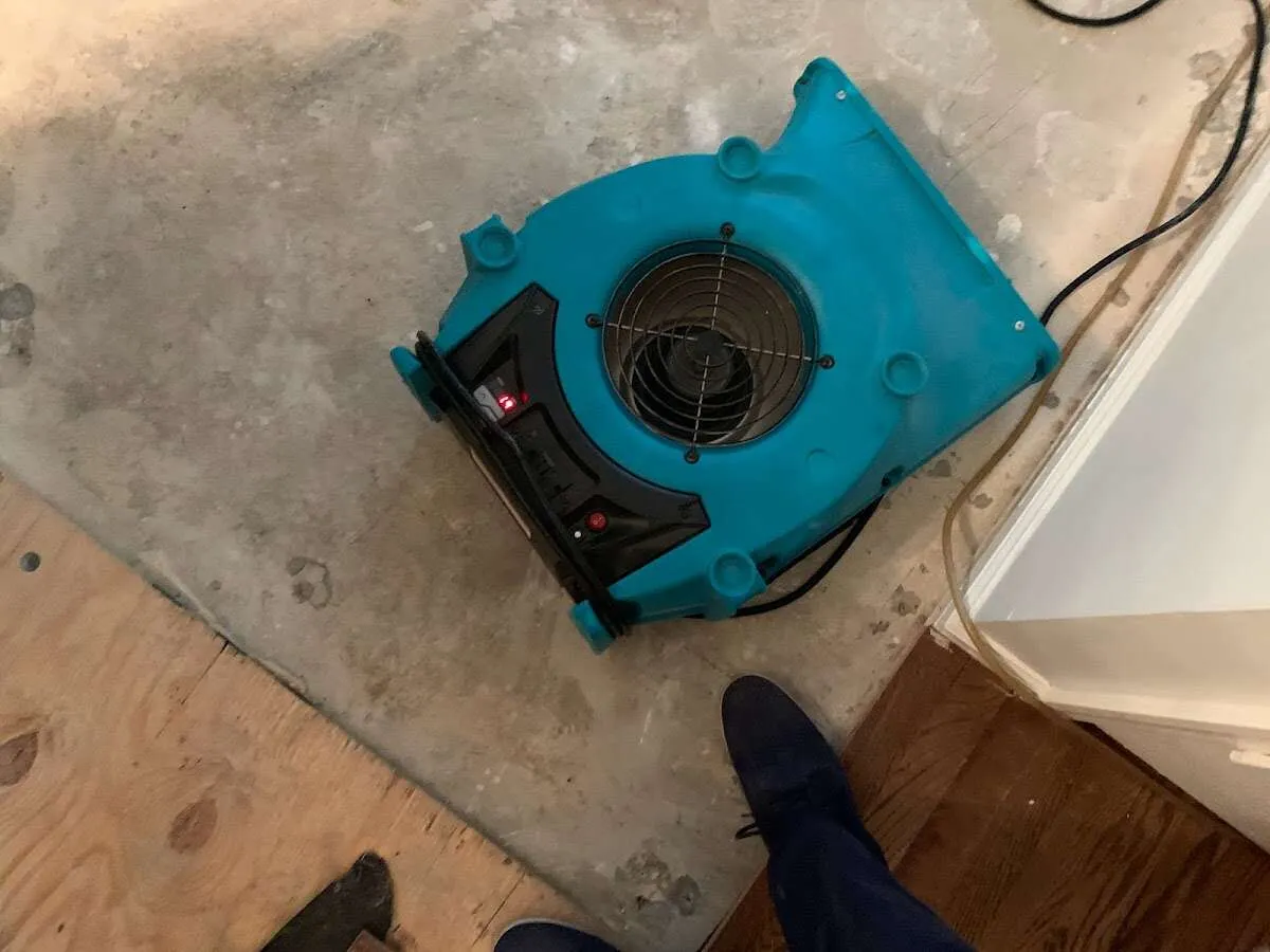 Air mover drying subfloor during Leak Detection & Repair in Cornelia